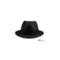 Kapelusz Fedora Wilson