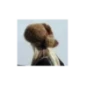 Czapka Futrzana z Lisa